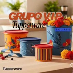 ⚜️Grupo VIP Tupperware