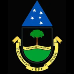 Tefé Am