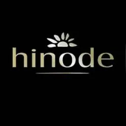 Alice Hinode Parauapebas🩷🛍️💳