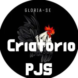 CRIATÓRIO_PJS🪶