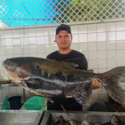 Churrascaria ponto do peixe assado 🐟🐟🍢🍢😋🤤🤤🙌🏼