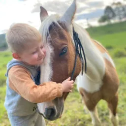 Negocios de Cavalos SC/Sul 🐴