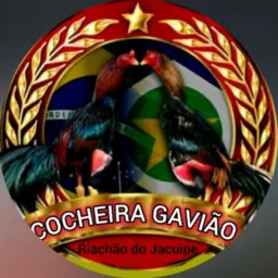 Criatório Gavião🐓🧬🪶