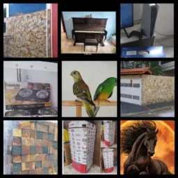 🦜🦎🐢FEIRA DO ROLO 🐳🏘DE ITAQUAQUECETUBA É 🌍🏗TODAS AS REGIÕES 🏟🏞