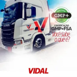 VIDAL FRETES PRIMAVERA DO LESTE