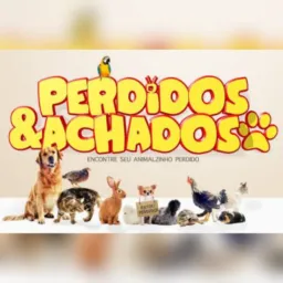 Animais perdidos/encontrados Rolândia