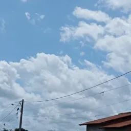 Galera da mangueira