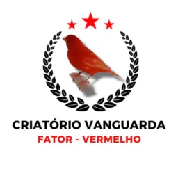2️⃣9️⃣ RIFA CRIATÓRIO VANGUARDA