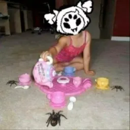 ~☆ Recepção ☆~