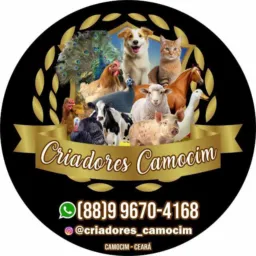 CRIADORES CAMOCIM-🐏🐖🦚🪿🐔🦃🐎🐄