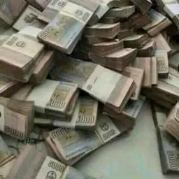 Só negócios Sério 💰💸📜