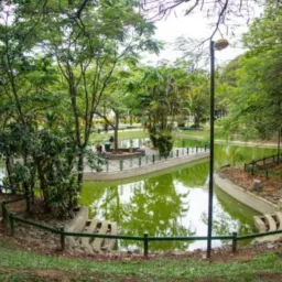 🟣VENDAS CRICIUMA SC 7️⃣