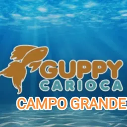 🌟 Loja Guppy Carioca - Campo Grande 🌟