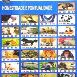 Jogos confresa MT COLIBRI