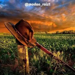 Só modão