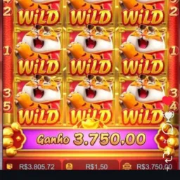 Grupo dos links 💫💫🤑🥳🎉
