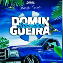 DOMINGUEIRA AUTOMOTIVA
