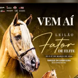 Tributo ao Rei da Marcha