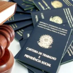 Grupo 3 DIREITO E VAGAS DE EMPREGOS
