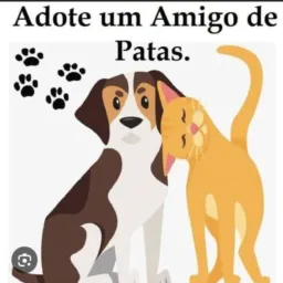 Emlh Doações de animais
