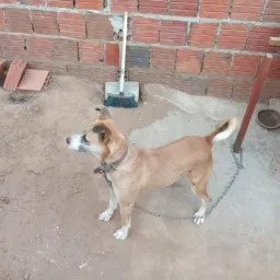 grupo entre amigos