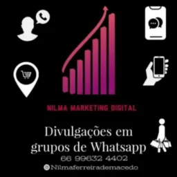 1️⃣  divulgações   Vendas   Guarantã