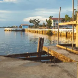 Seu Zé Vitória do Xingu Altamira boa demais Belém do Pará breve Portela