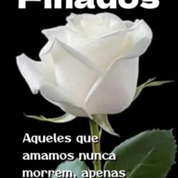 ENLA PARTILHAS 24H