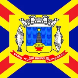 SALINAS PA / COMPRAS E VENDAS