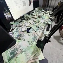 *: INVESTIMENTO:*🤖