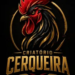 GALO SHOW