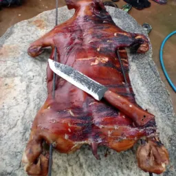 RIFA PORCO NO ESPETO ESPECIAL DE  NATAL