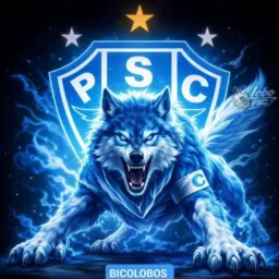 Coração fies bicolores