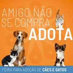 •DOAÇÃO E ADOÇÃO DE PETS•(Campos dos Goytacazes e cidades vizinhas)
