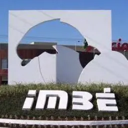 AMIGOS DE IMBÉ 🐦‍🔥