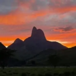 Compra e venda FRADE