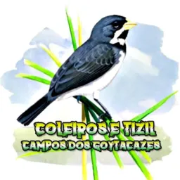 Coleiro e Tizil de Campos