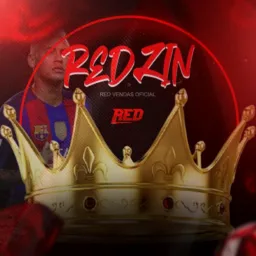 REDZIN VENDAS