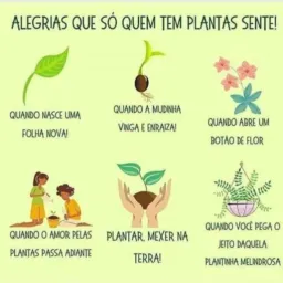 Quem ama cuida