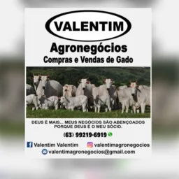 Vendas e gambiras Lagoa da Confusão 🛻🏍️