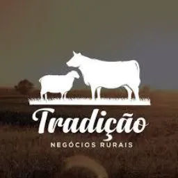 NEGÓCIOS RURAIS E URBANOS