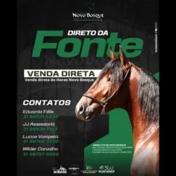Venda Direta Haras Novo Bosque