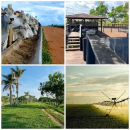 Fazenda Brasil