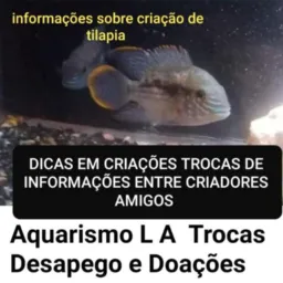 Aquarismo L A