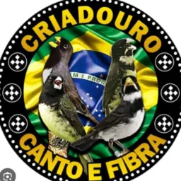 CATIRA DE PASSARINHO IBIRITÉ E REGIÃO dd31