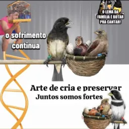 Jarambada dos Chopeiros