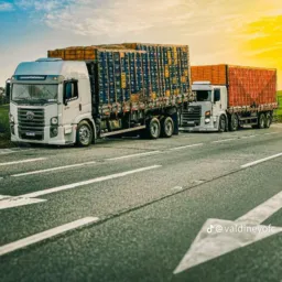 AMIGO DA ESTRADA 👽🚚🛣️
