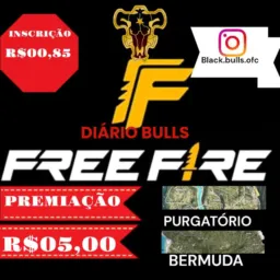 DIÁRIO BULLS