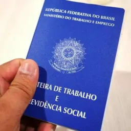 Empregos Porto Seguro