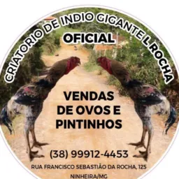 Criatório L rocha venda e compra de aves e rifa de aves